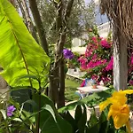 Hotel Temucin Alaçatı