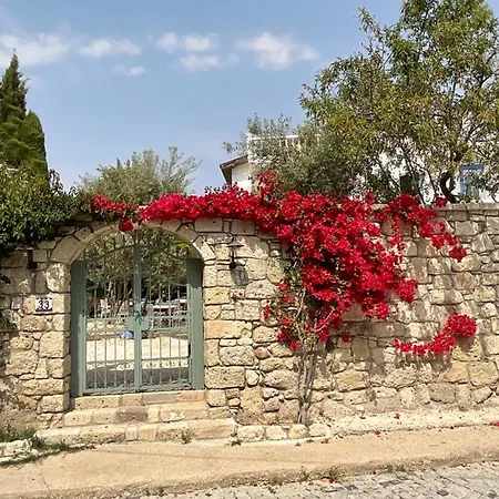 Temucin Ξενοδοχείο