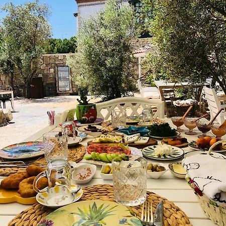 Temucin Алачати