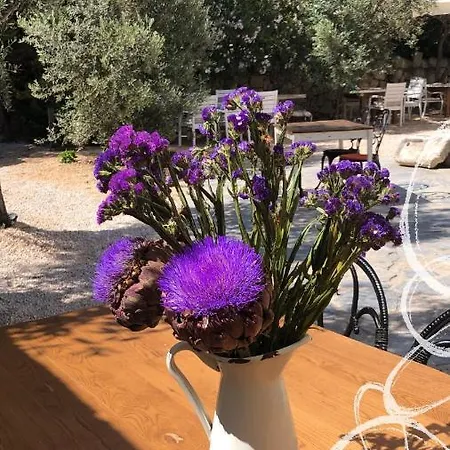 Temucin Отель 2*