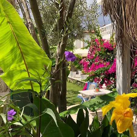 Hotel Temucin Alacati