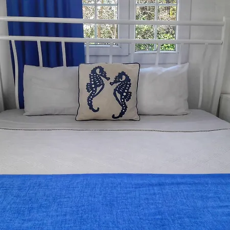 Hotel Temucin