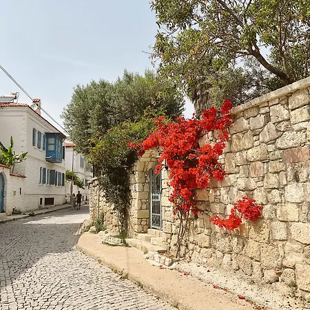 Temucin Alaçatı